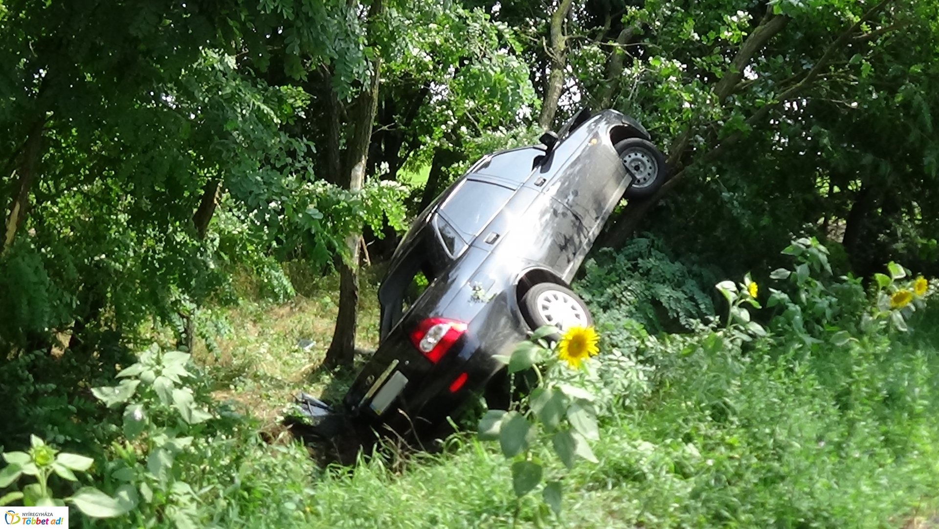 Fának csapódott Nagycserkesznél