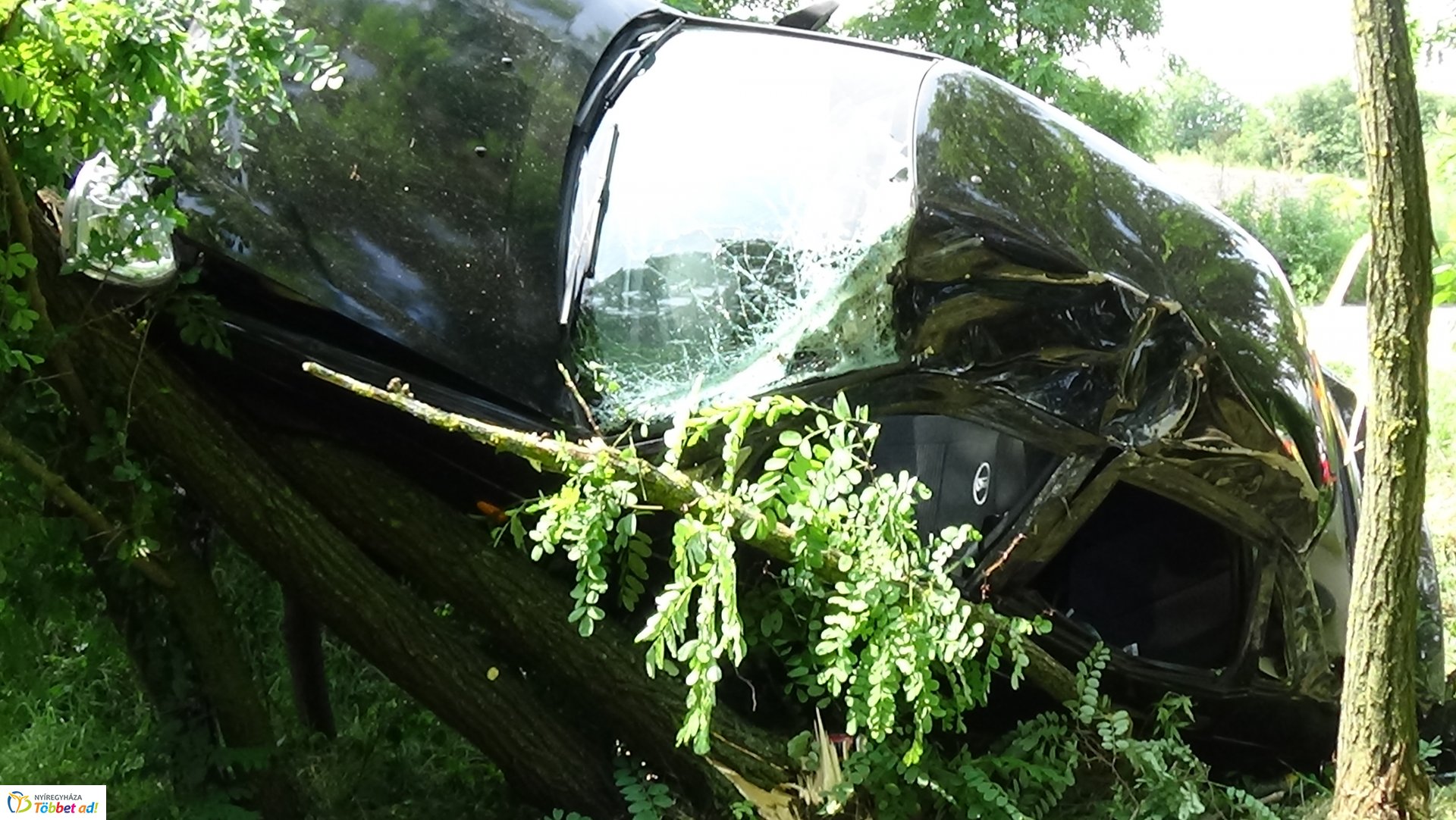 Fának csapódott Nagycserkesznél