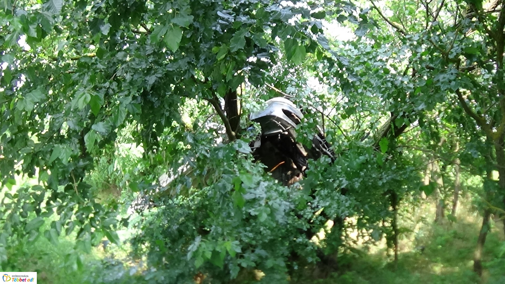 Fának csapódott Nagycserkesznél