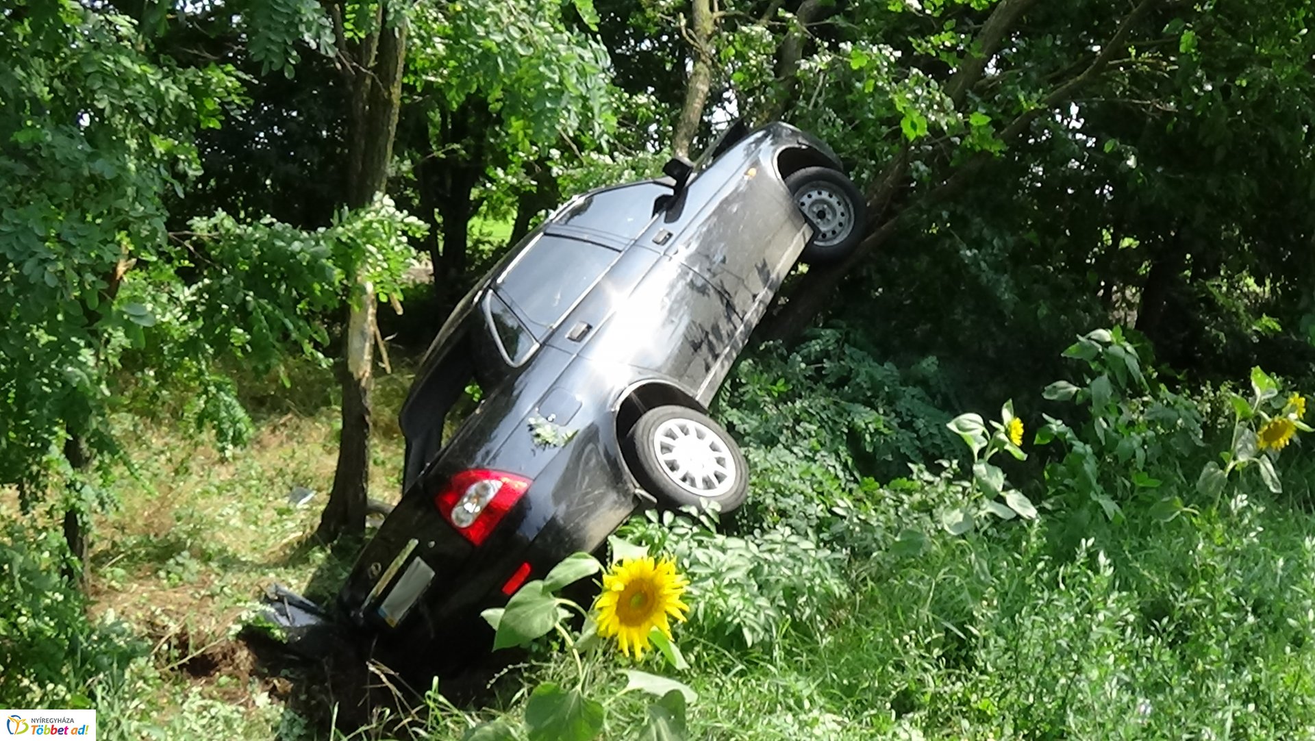 Fának csapódott Nagycserkesznél