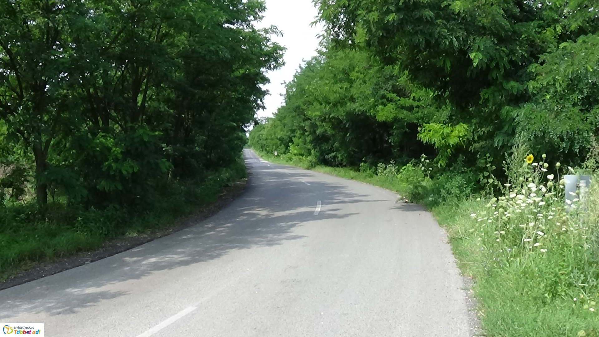 Fának csapódott Nagycserkesznél