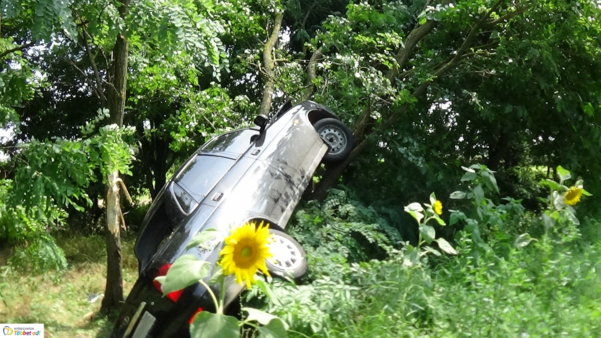 Fának csapódott Nagycserkesznél