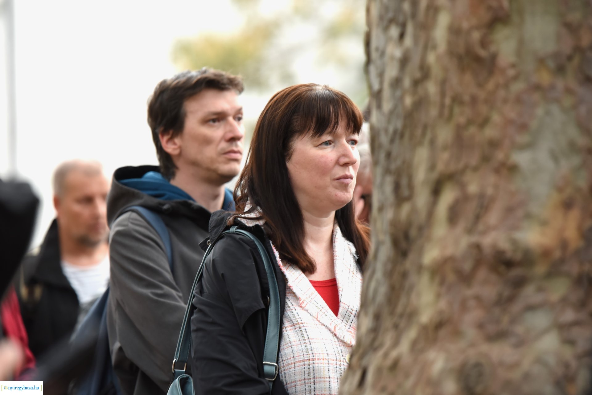 Farkas "Shulcz Tibor" emléktábla avatása