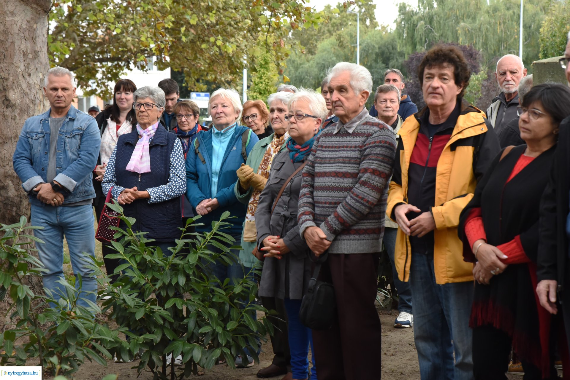 Farkas "Shulcz Tibor" emléktábla avatása
