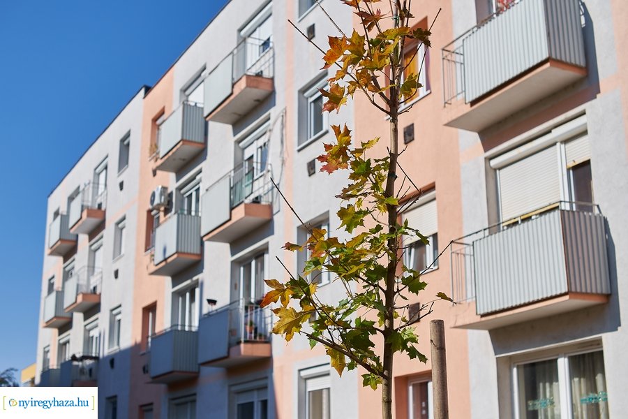 Fásítási program a Garibaldi utcán