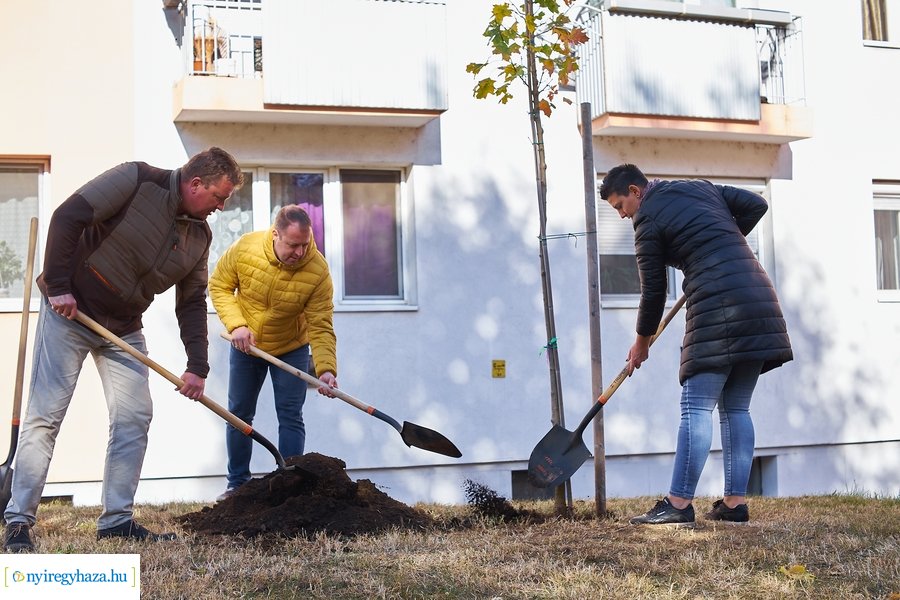 Fásítási program a Garibaldi utcán