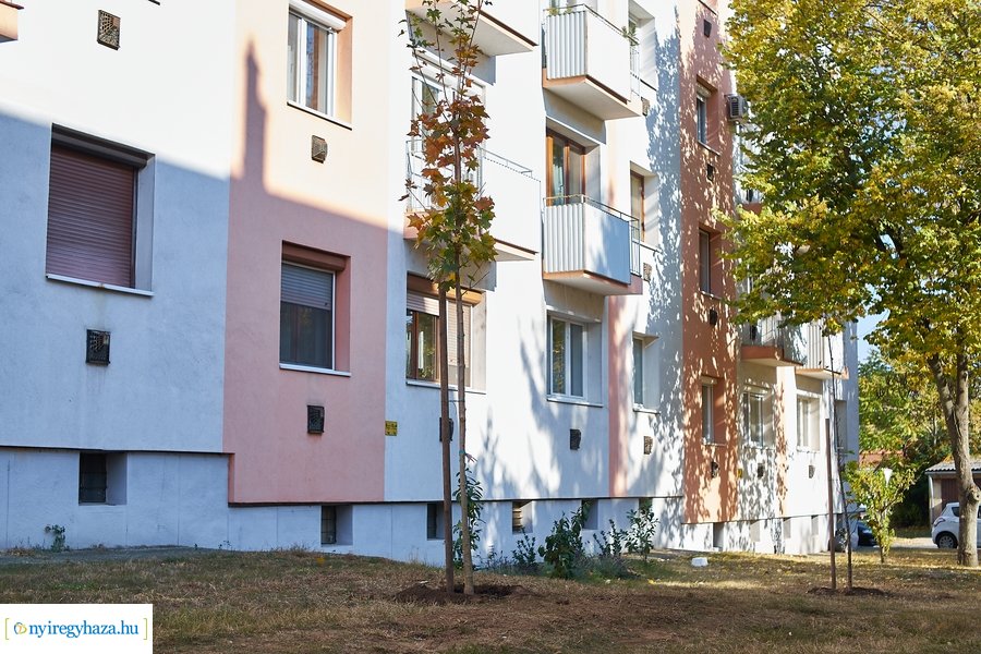 Fásítási program a Garibaldi utcán