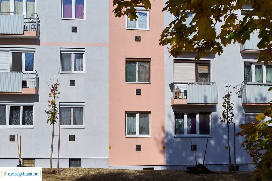 Fásítási program a Garibaldi utcán