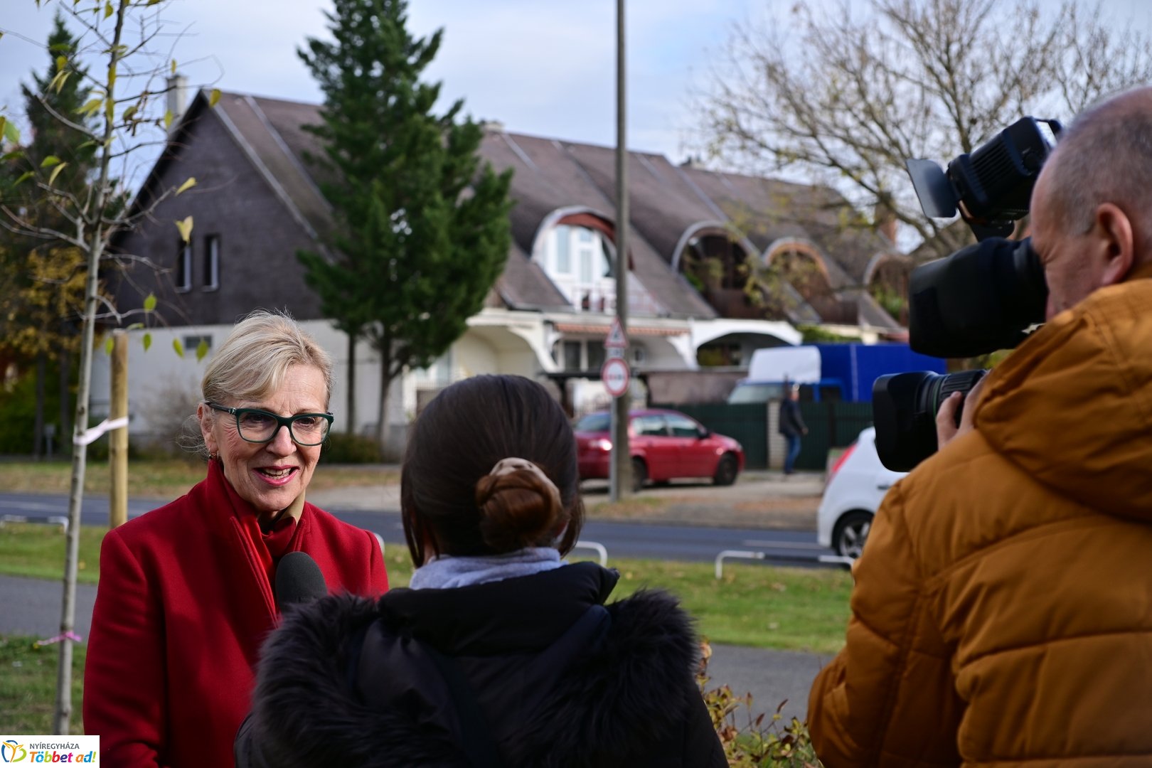 Fásítási program a Korányi utcán 2025 októberében