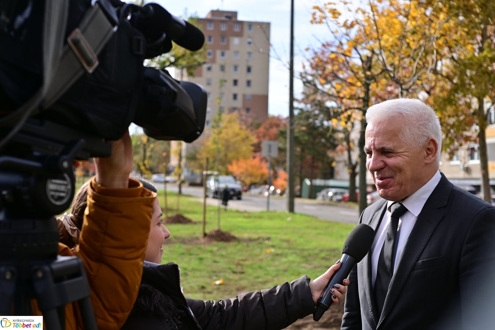 Fásítási program a Korányi utcán 2025 októberében