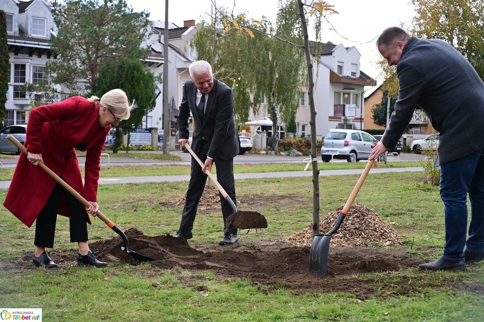 Fásítási program a Korányi utcán 2025 októberében