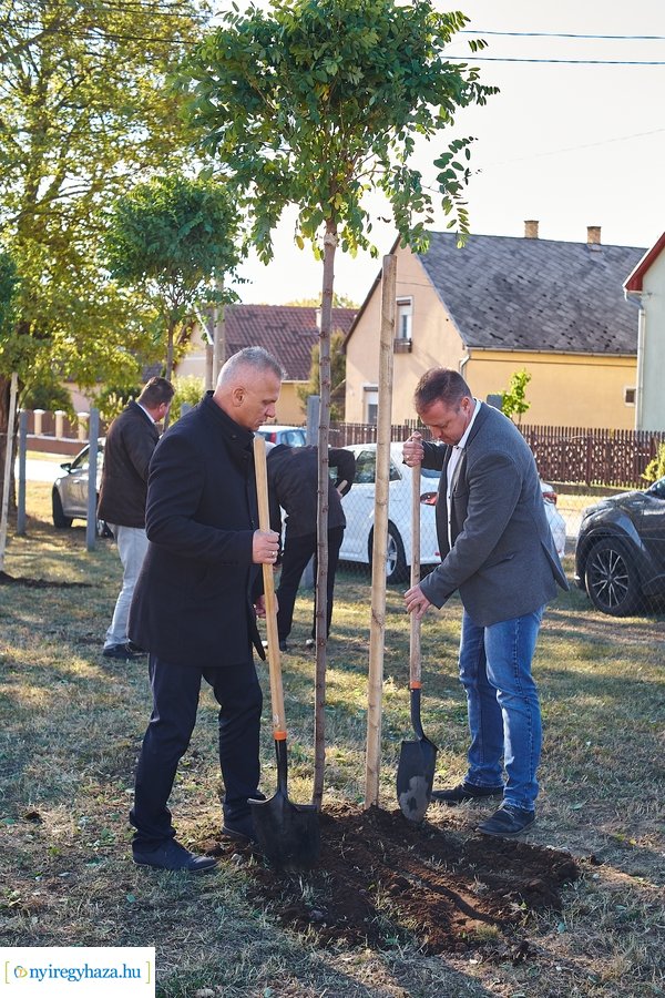 Fásítási program Nagyszálláson 20211022