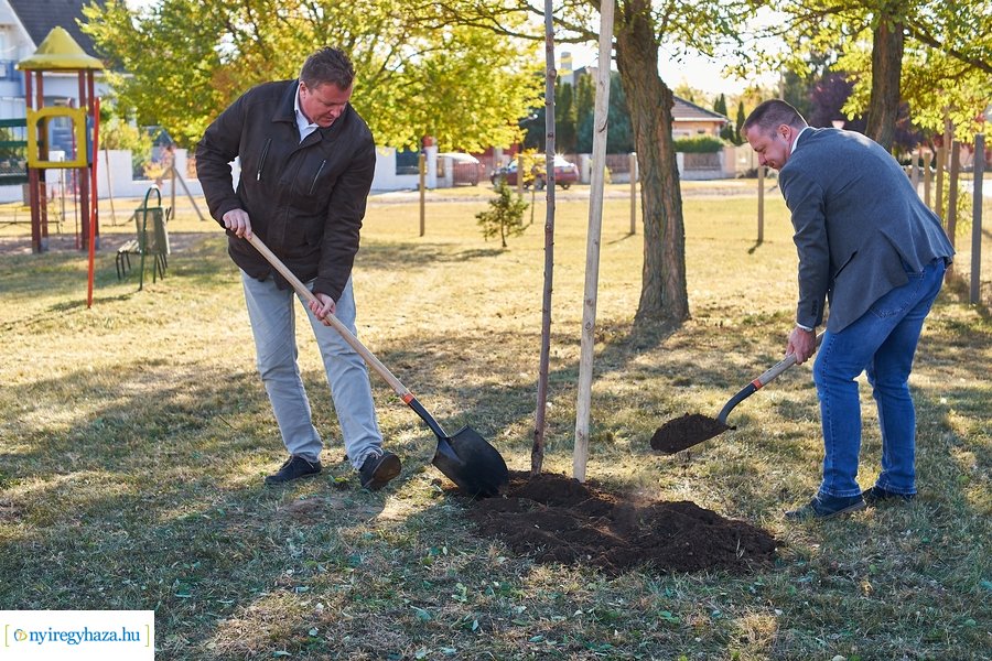 Fásítási program Nagyszálláson 20211022