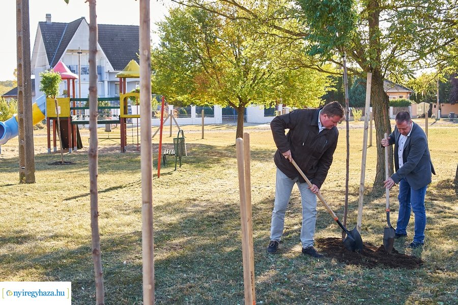 Fásítási program Nagyszálláson 20211022