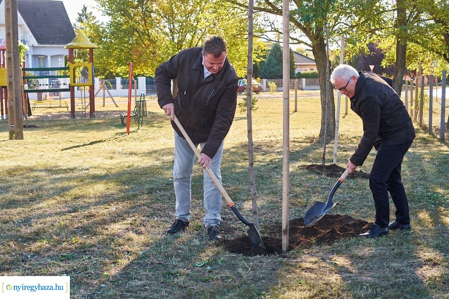 Fásítási program Nagyszálláson 20211022