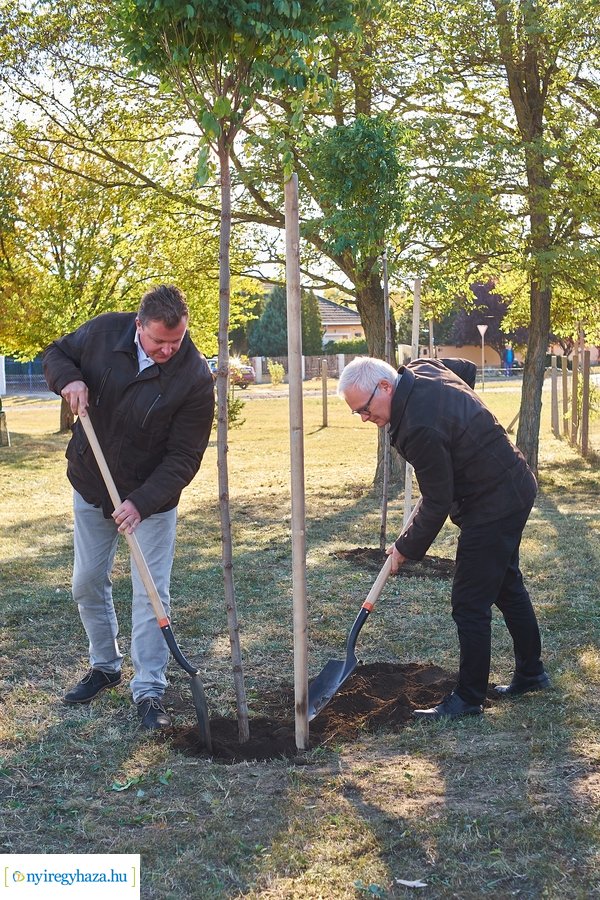 Fásítási program Nagyszálláson 20211022