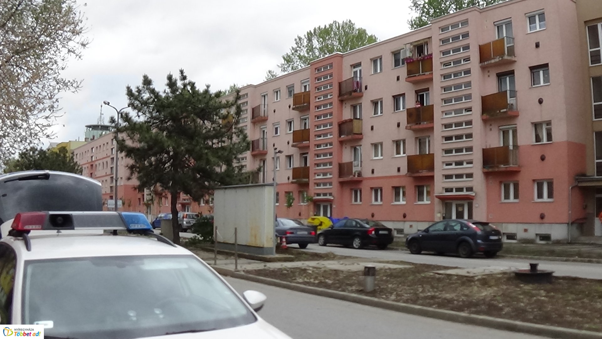 Fát törtek az Arany János utcán