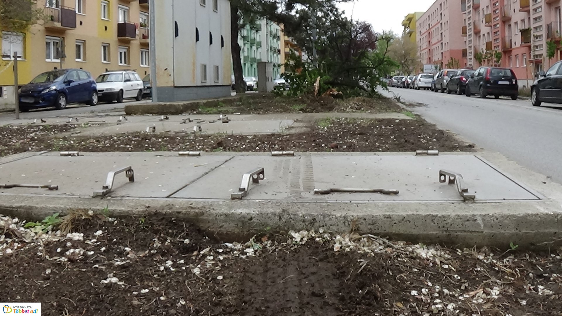 Fát törtek az Arany János utcán