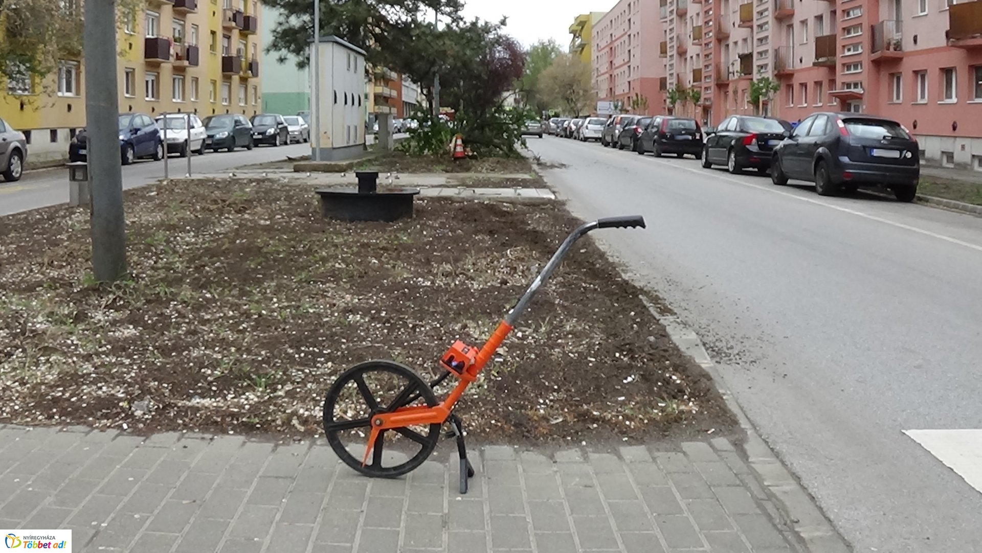 Fát törtek az Arany János utcán