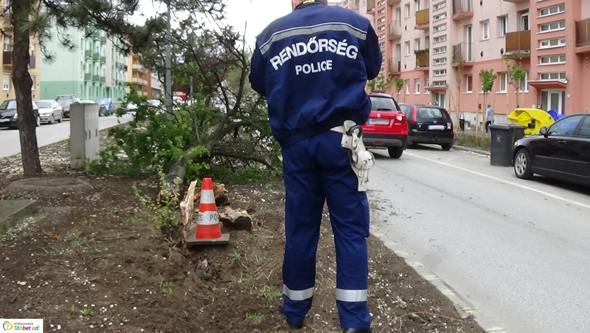 Fát törtek az Arany János utcán