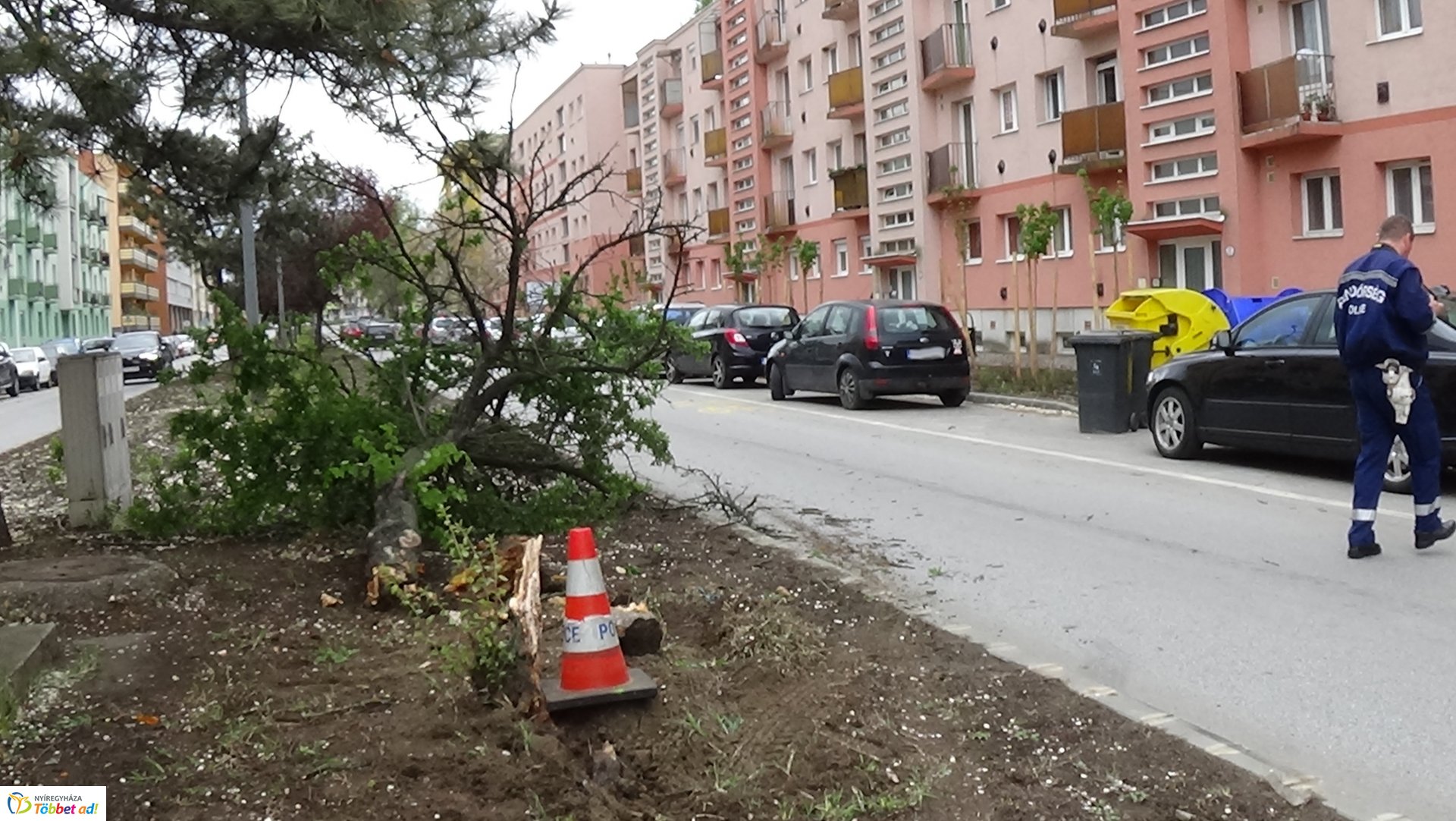 Fát törtek az Arany János utcán