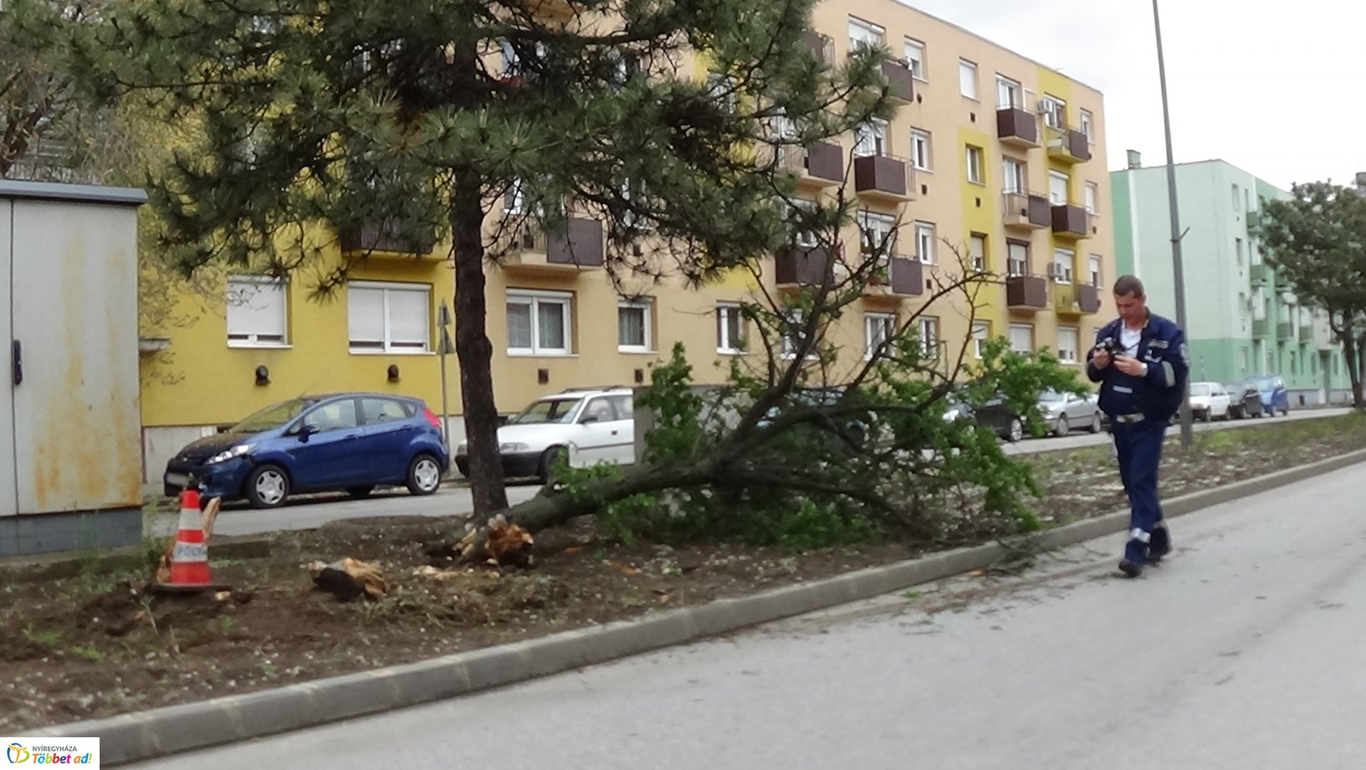 Fát törtek az Arany János utcán