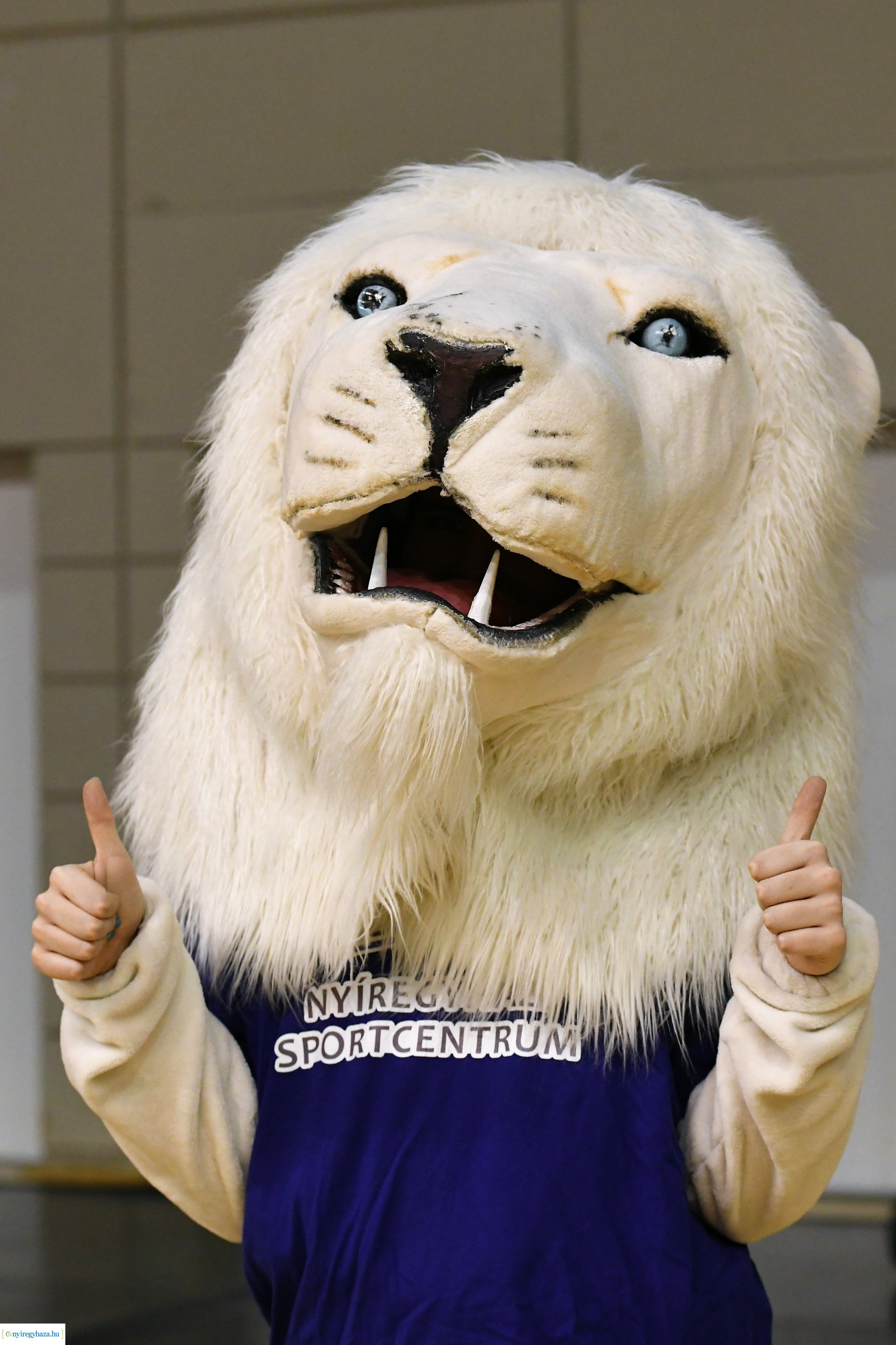 Fatum Nyíregyháza - Kaposvár női röplabda mérkőzés az Extraligában