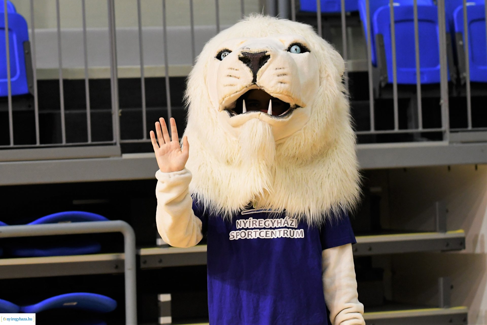 Fatum Nyíregyháza-Újpest női röplabda mérkőzés