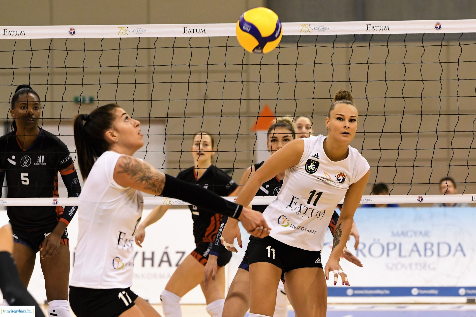 Fatum Nyíregyháza - Vasas Óbuda rangadó