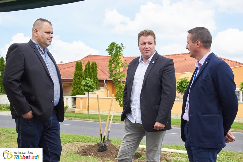 Faültetés a 4-es Huszárok útján