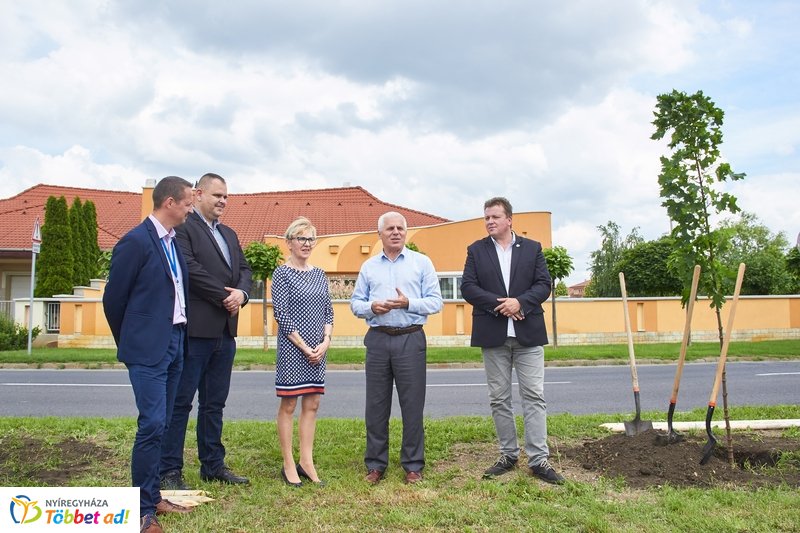 Faültetés a 4-es Huszárok útján