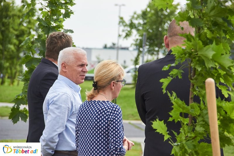 Faültetés a 4-es Huszárok útján