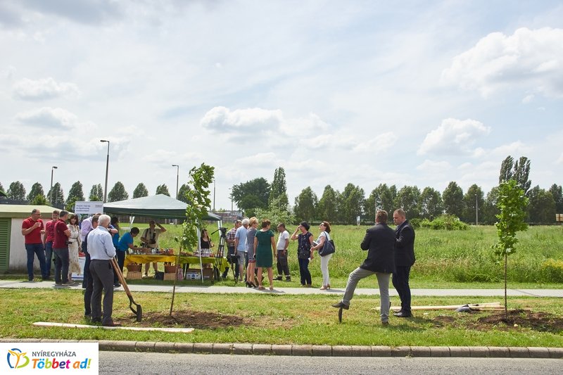 Faültetés a 4-es Huszárok útján