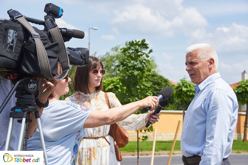 Faültetés a 4-es Huszárok útján