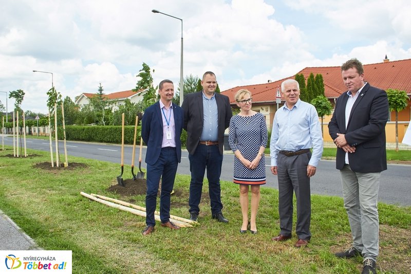 Faültetés a 4-es Huszárok útján