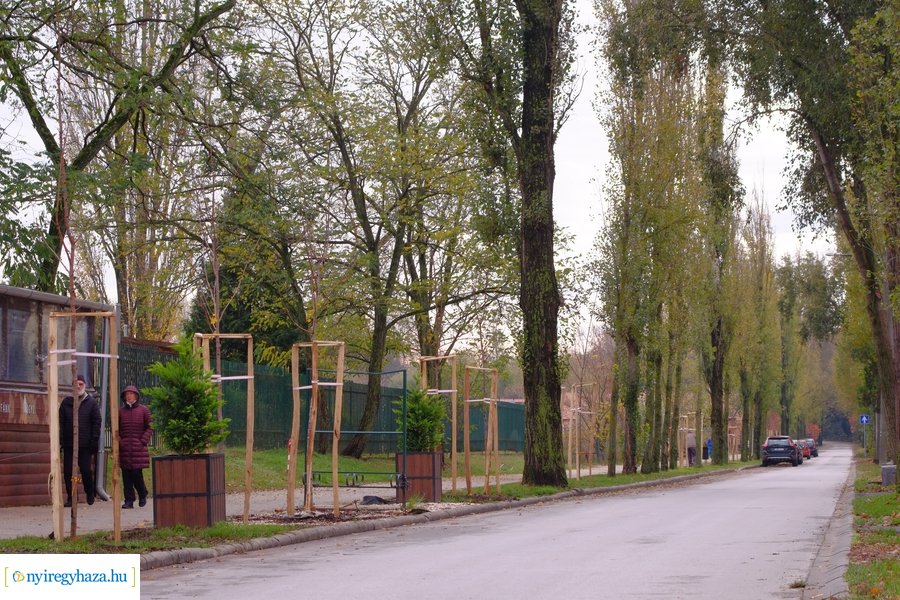 Faültetés a Blahán