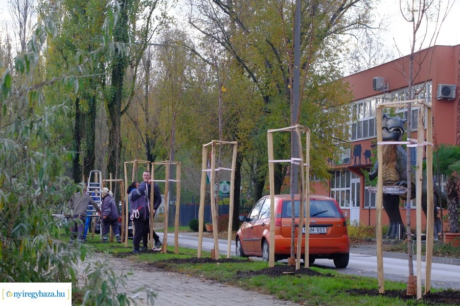 Faültetés a Blahán