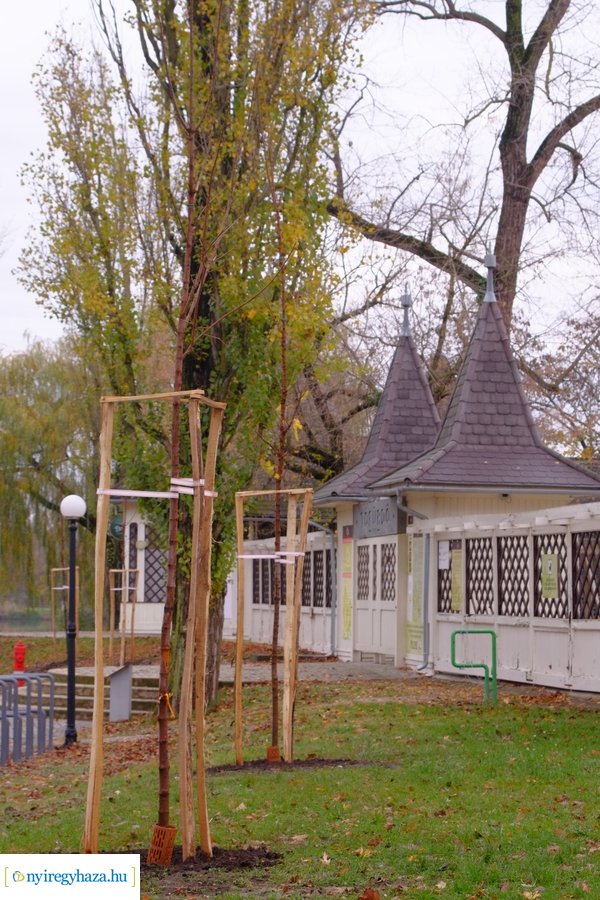 Faültetés a Blahán