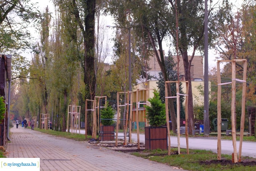 Faültetés a Blahán