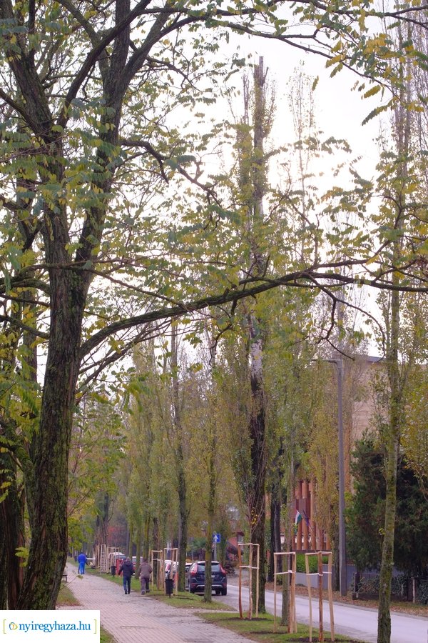 Faültetés a Blahán