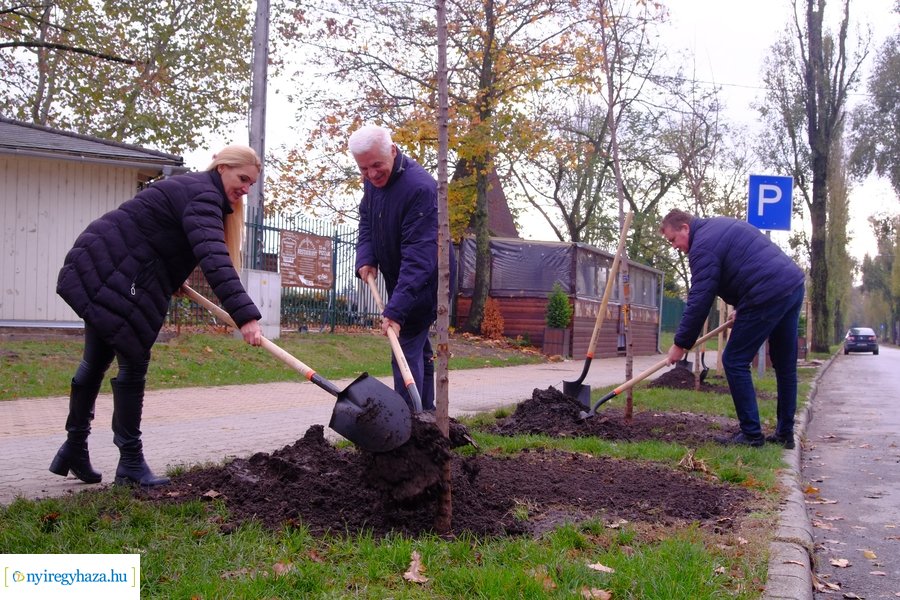 Faültetés a Blahán