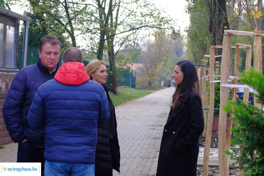 Faültetés a Blahán