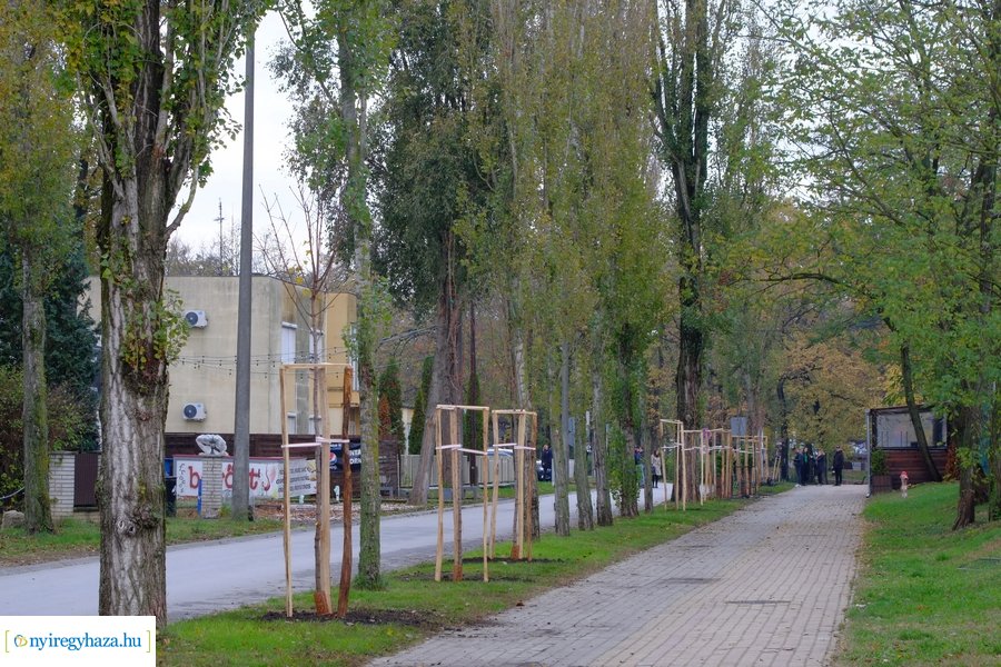 Faültetés a Blahán