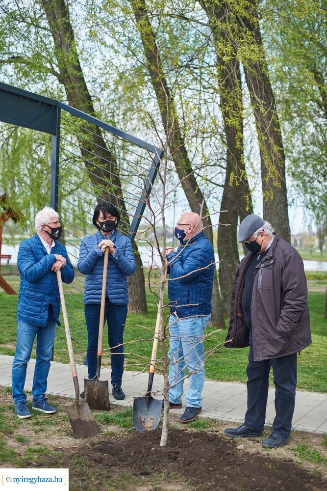 Faültetés a Bujtosi Városligetben 20210422