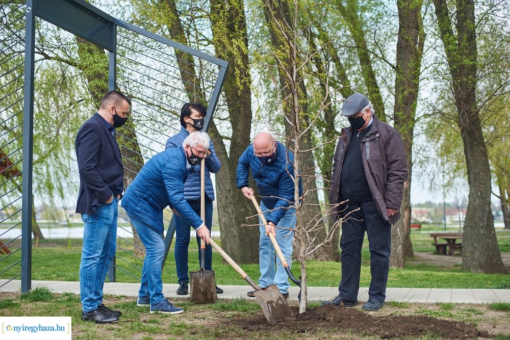 Faültetés a Bujtosi Városligetben 20210422