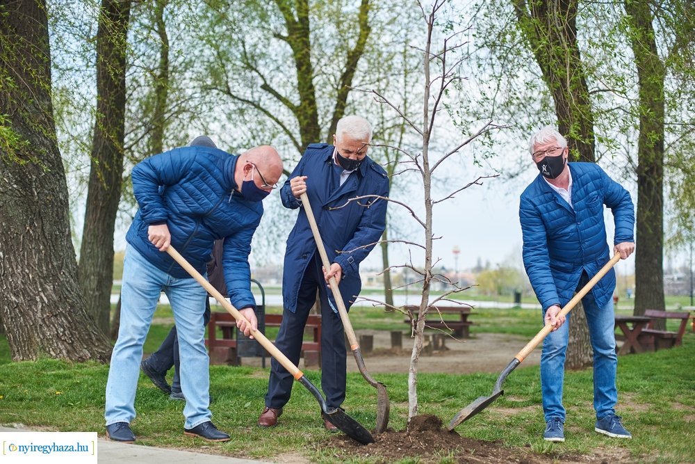 Faültetés a Bujtosi Városligetben 20210422