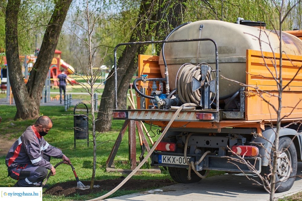 Faültetés a Bujtosi Városligetben 20210422