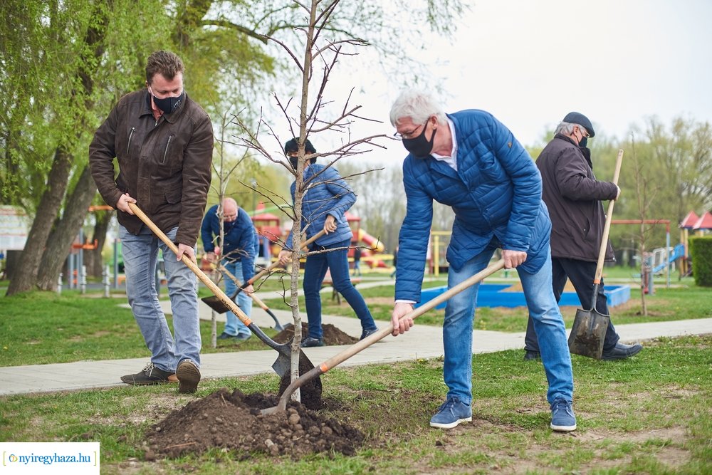 Faültetés a Bujtosi Városligetben 20210422