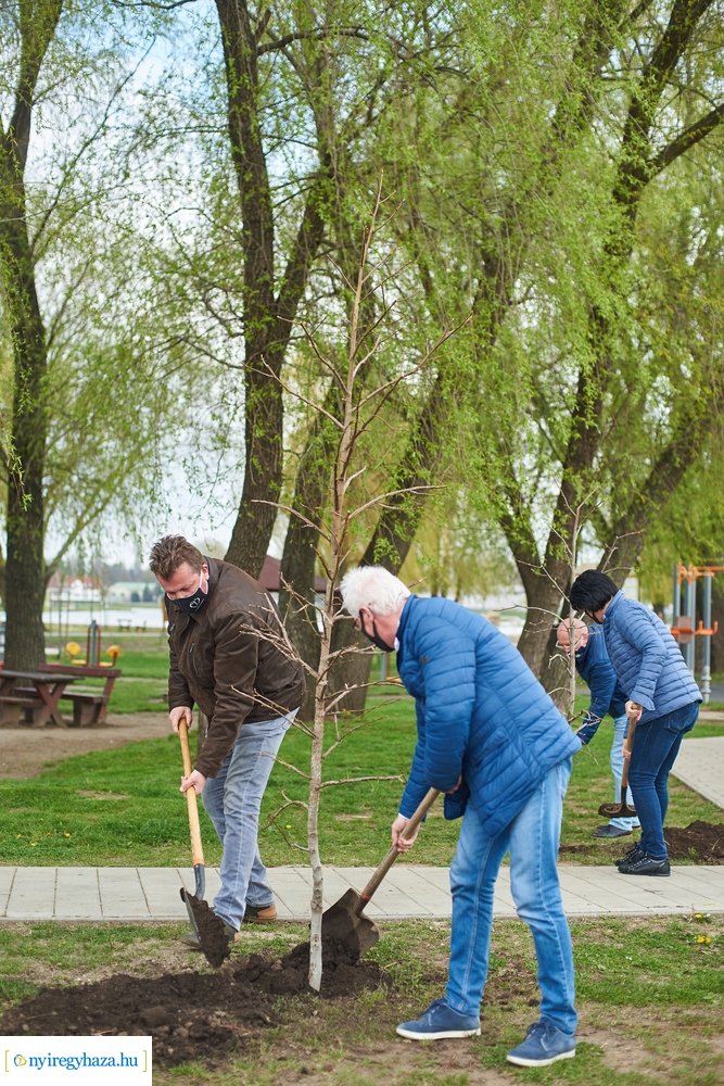 Faültetés a Bujtosi Városligetben 20210422
