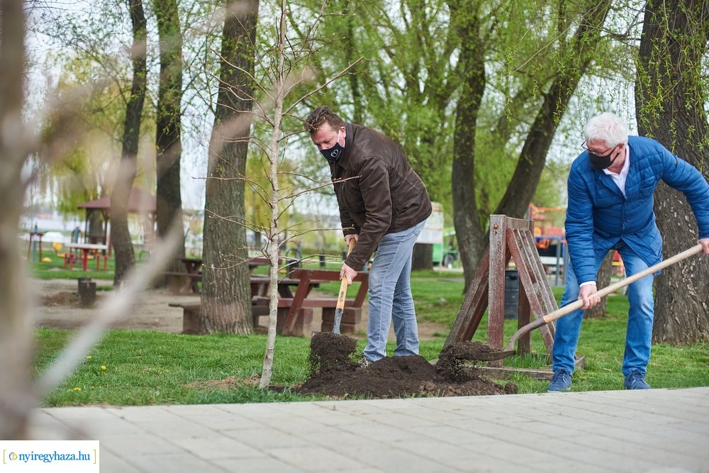 Faültetés a Bujtosi Városligetben 20210422